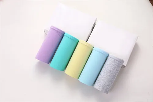 Fainlise 5Pcs/lot Sexy Cotton Women's Panties Printed Briefs Lovely Girls Underwear Wholesale Multicolor Lingerie Intimates