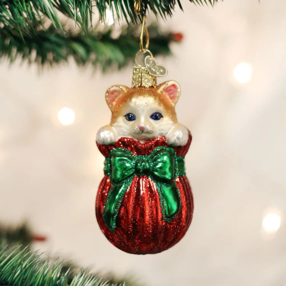Old World Christmas Letting The Cat Out Of The Bag
