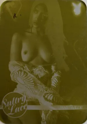 PLAYBOY'S SULTRY LACE PRESS PLATE JANE WILDE #90