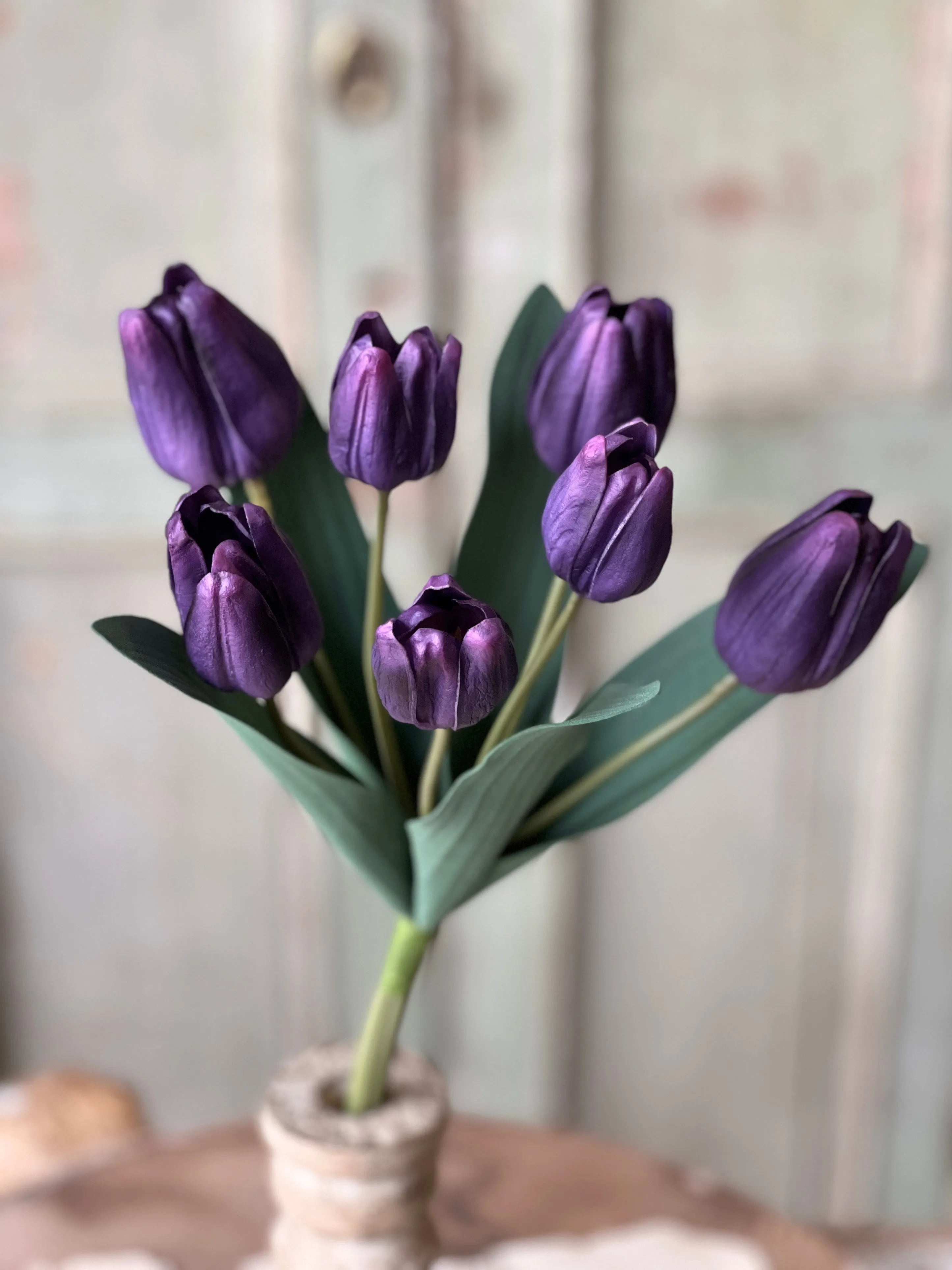 Triumph Tulip Bundle | 14.5" | Queen | NOT CURRENTLY IN STOCK-New For Spring 2025!