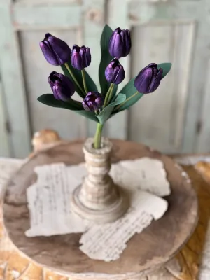 Triumph Tulip Bundle | 14.5" | Queen | NOT CURRENTLY IN STOCK-New For Spring 2025!
