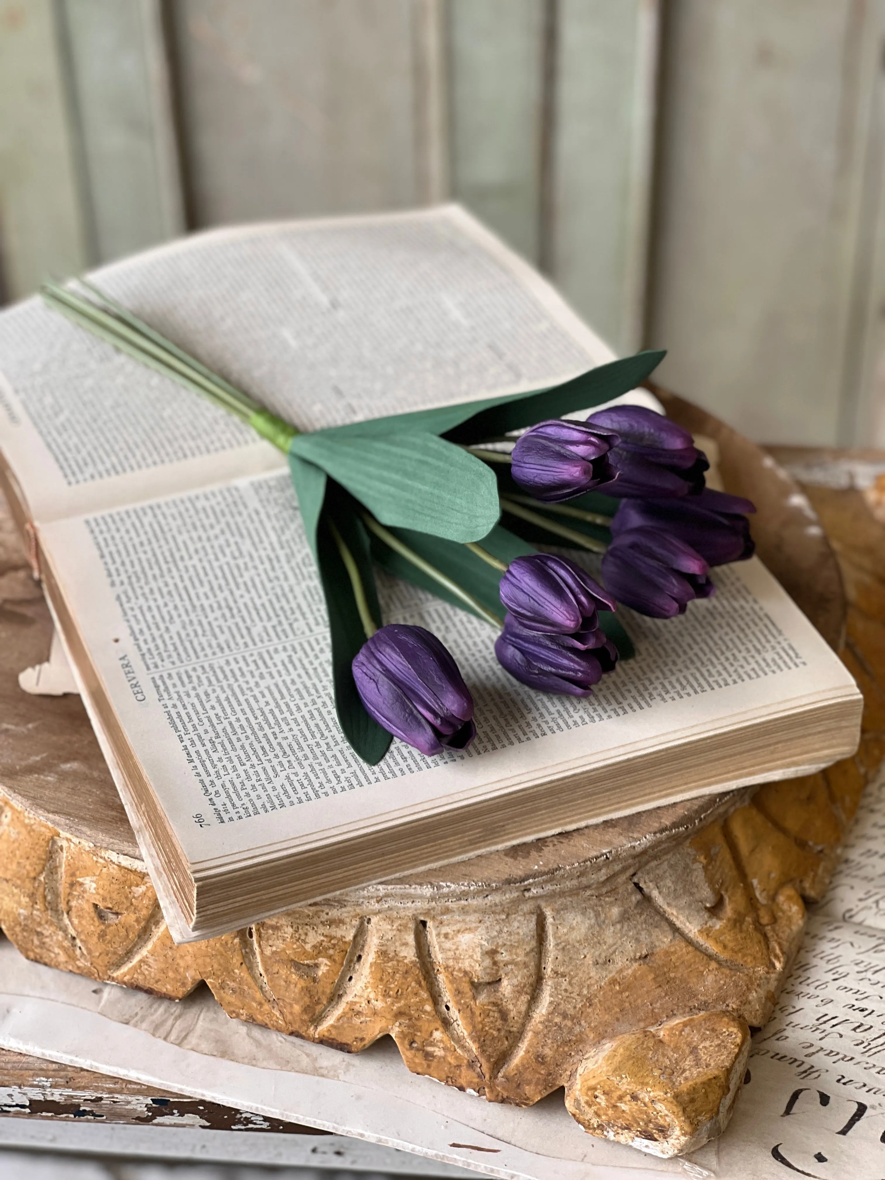 Triumph Tulip Bundle | 14.5" | Queen | NOT CURRENTLY IN STOCK-New For Spring 2025!